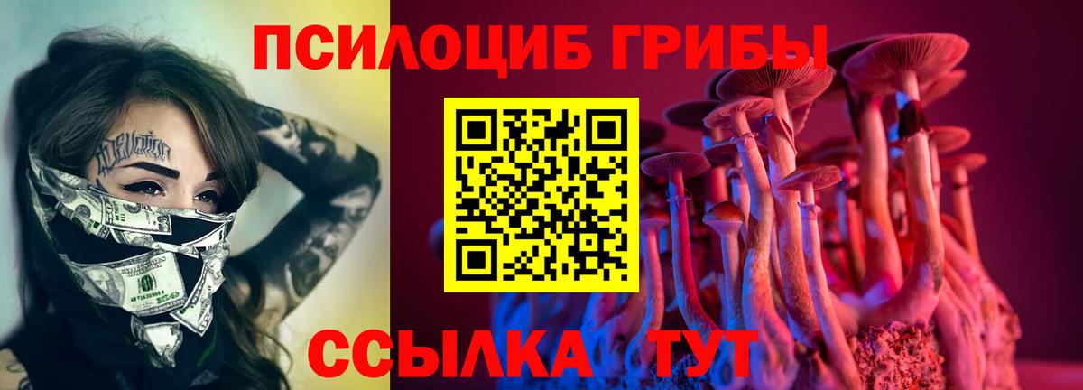 Канабис Михайловск